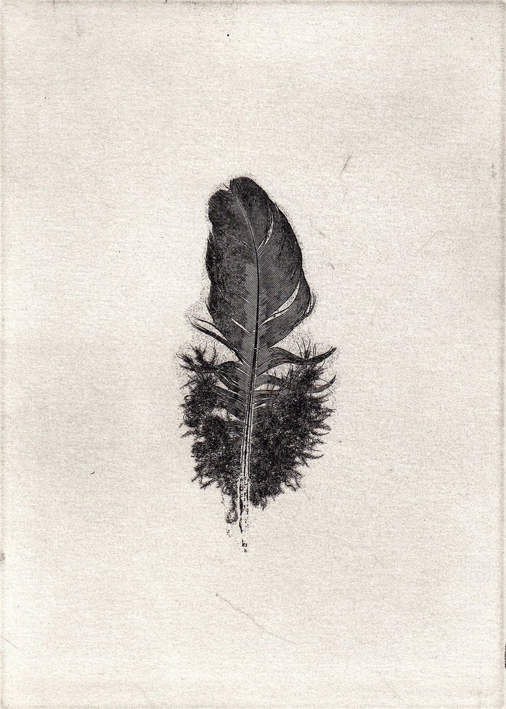 feather